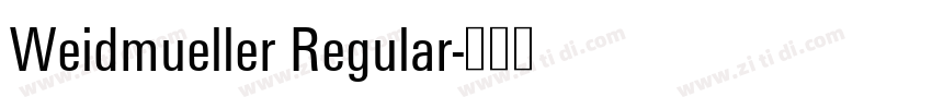 Weidmueller Regular字体转换